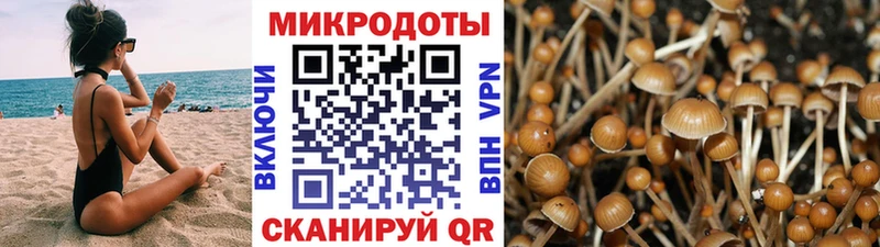 Псилоцибиновые грибы мицелий  kraken   Мытищи 